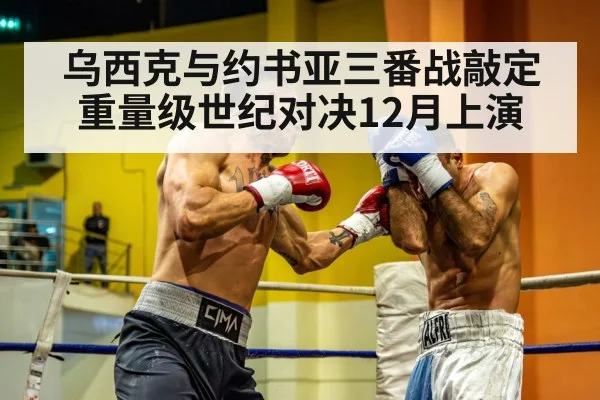 heavyweight boxing match